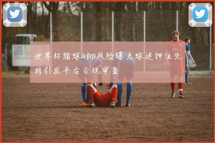 世界杯赌球app风险曝光球迷押注失利引发平台合规审查