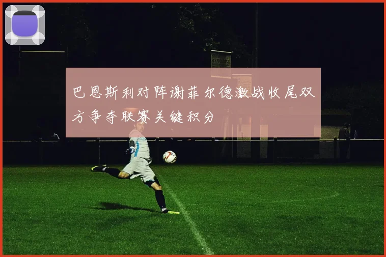巴恩斯利对阵谢菲尔德激战收尾双方争夺联赛关键积分