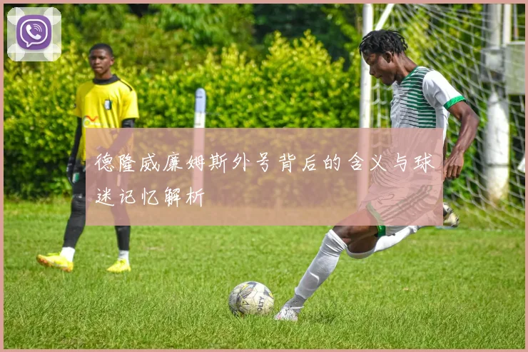 德隆威廉姆斯外号背后的含义与球迷记忆解析