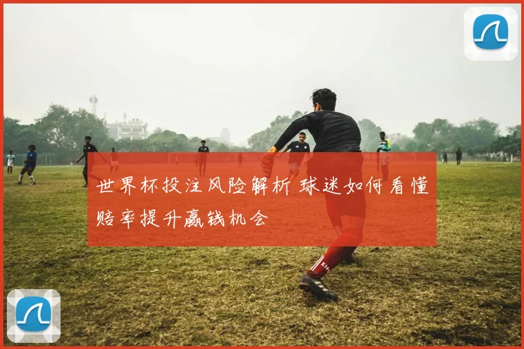 世界杯投注风险解析 球迷如何看懂赔率提升赢钱机会