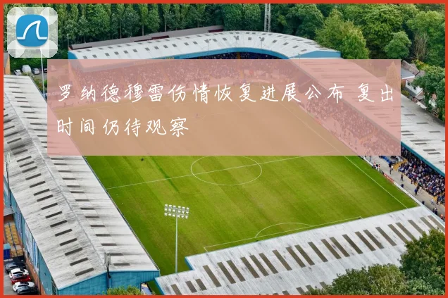 罗纳德穆雷伤情恢复进展公布 复出时间仍待观察