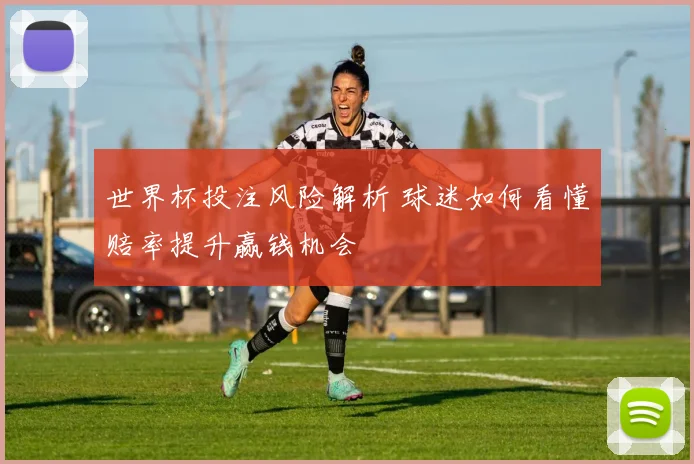 世界杯投注风险解析 球迷如何看懂赔率提升赢钱机会