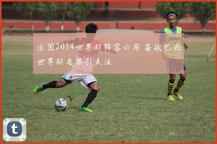 法国2014世界杯阵容公布 备战巴西世界杯名单引关注